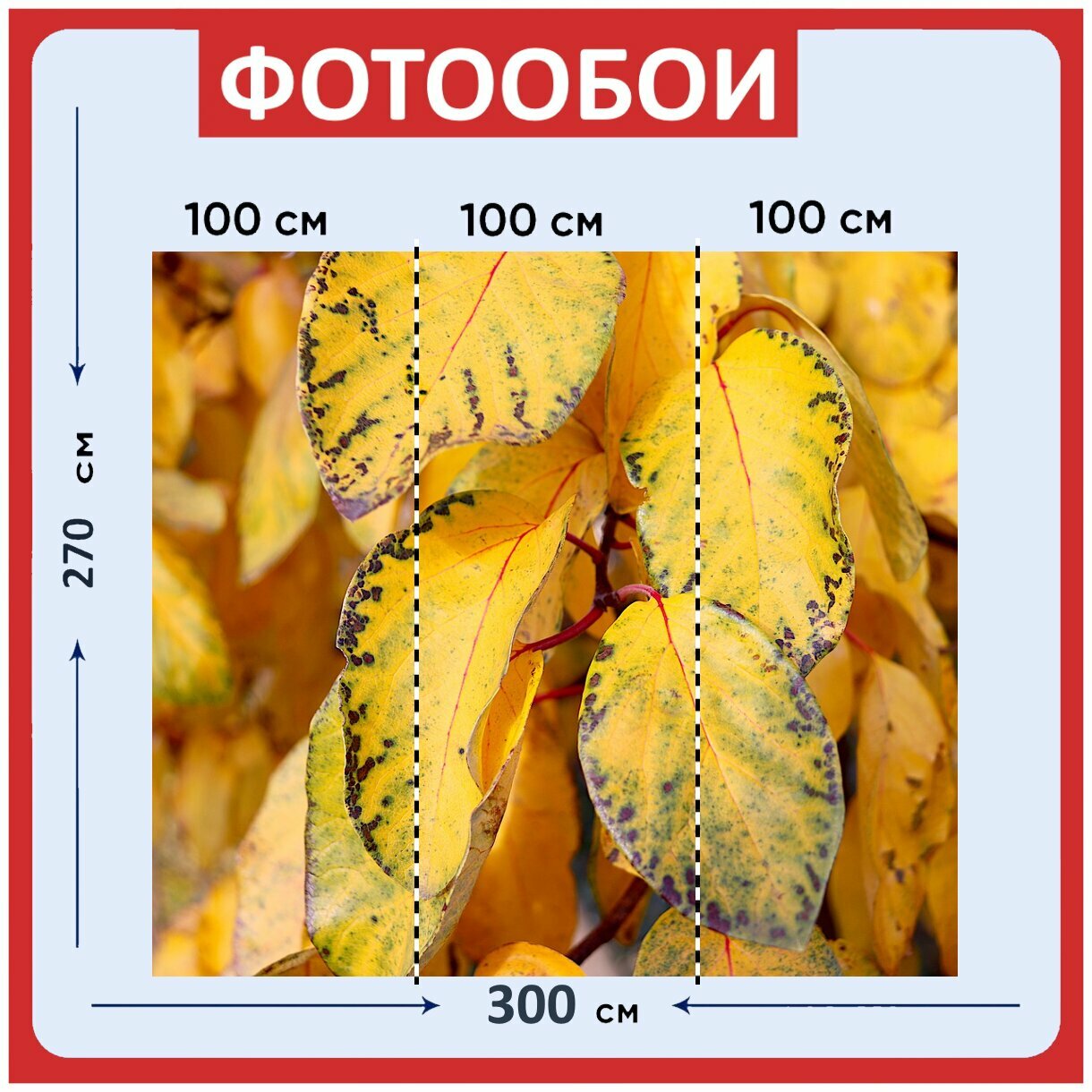 фото Фотообои "Осенние листья, желтого цвета, осенние краски" 300x270 см. флизелиновыена стену