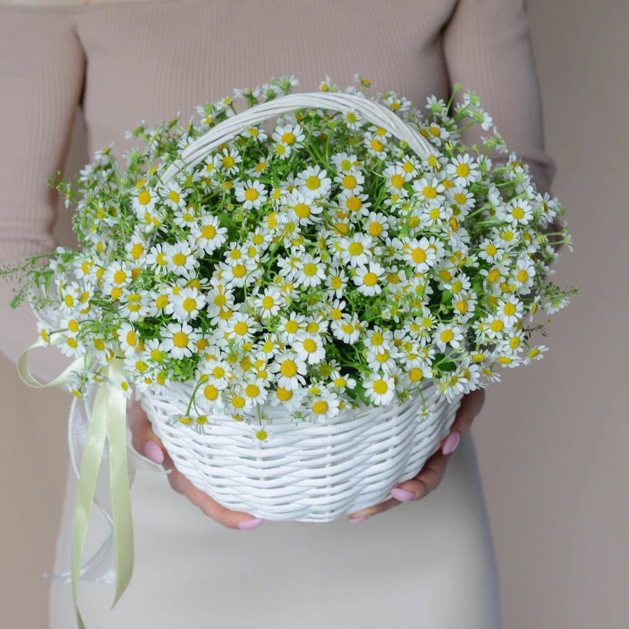 Корзина с кустовой ромашкой и тласпией. Корзина 213 Flowering Palm