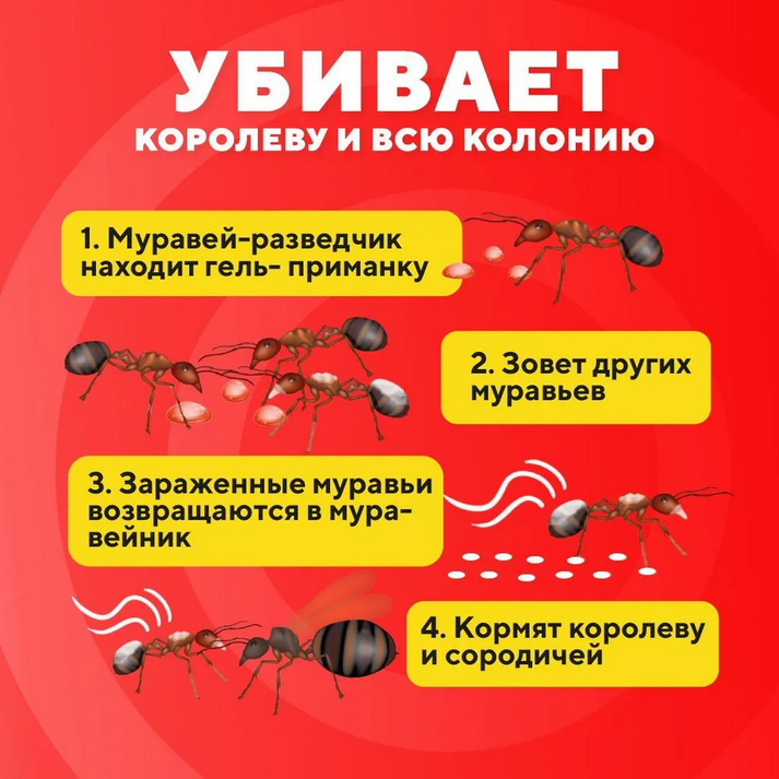 Средство от муравьев садовых Гектор, Гель от домашних муравьев, 80 гр — фото 1