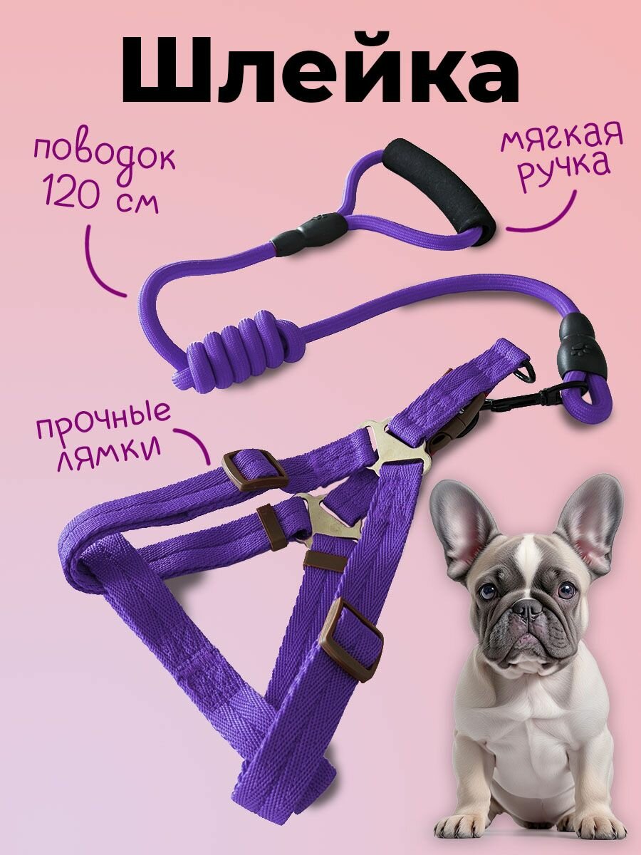 Шлейка MiloPets для собак и кошек, с поводком 120 см, обхват груди XL 53-70 см, фиолетовый