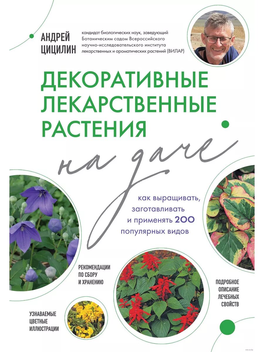 Декоративные лекарственные растения на даче. Как выращивать, заготавливать и применять 200 популярны