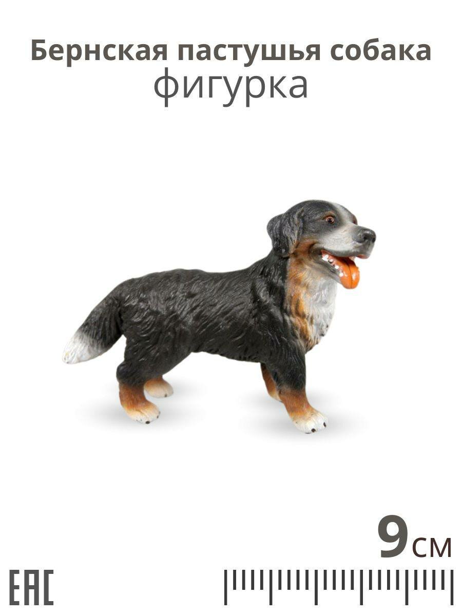 Бернская пастушья собака фигурка / Фигурки игрушки