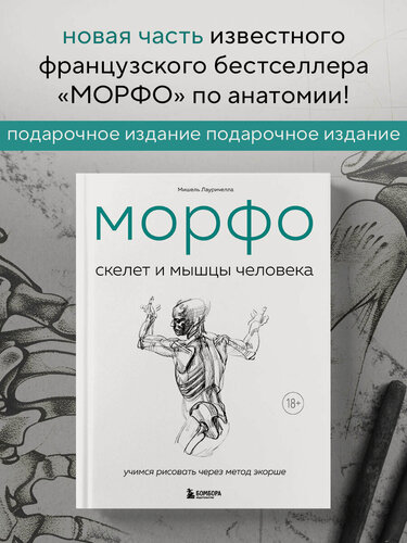 Изображение товара Лауричелла М. Морфо. Скелет и мышцы человека. Анатомия для художников