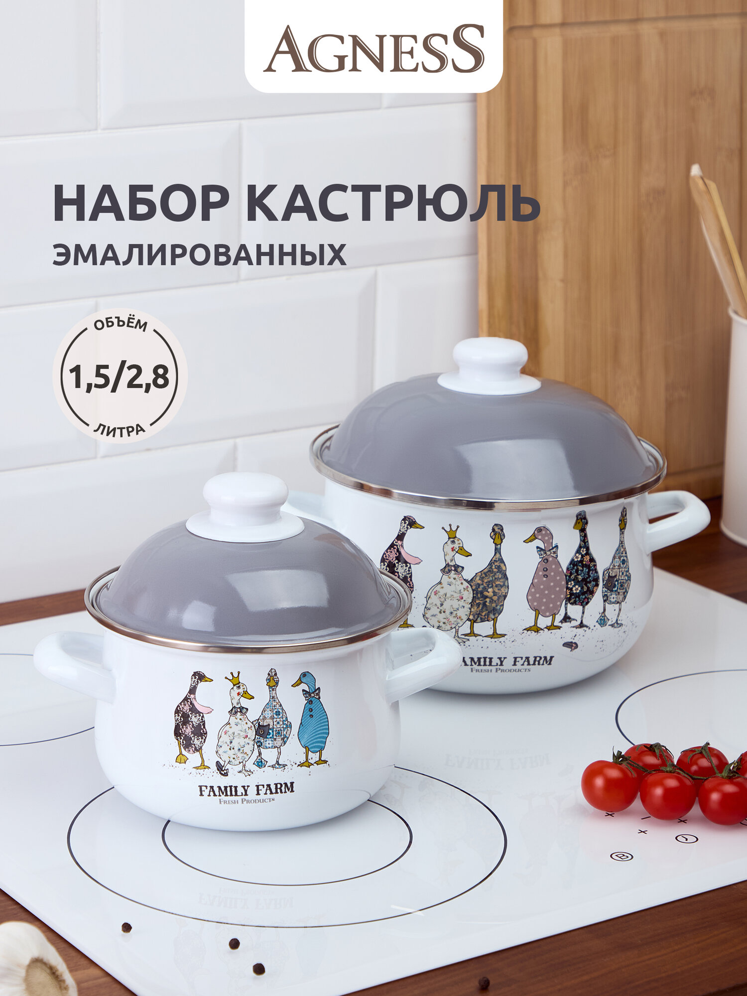 Набор кастрюль Agness 