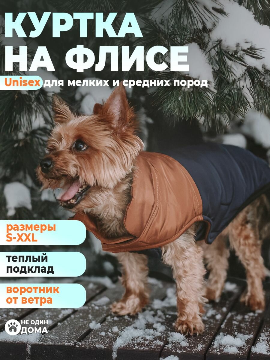 Жилетка/жилет для собак, одежда для собак, "Не Один Дома" Попона, коричневый, XL, длина спинки - 45 см