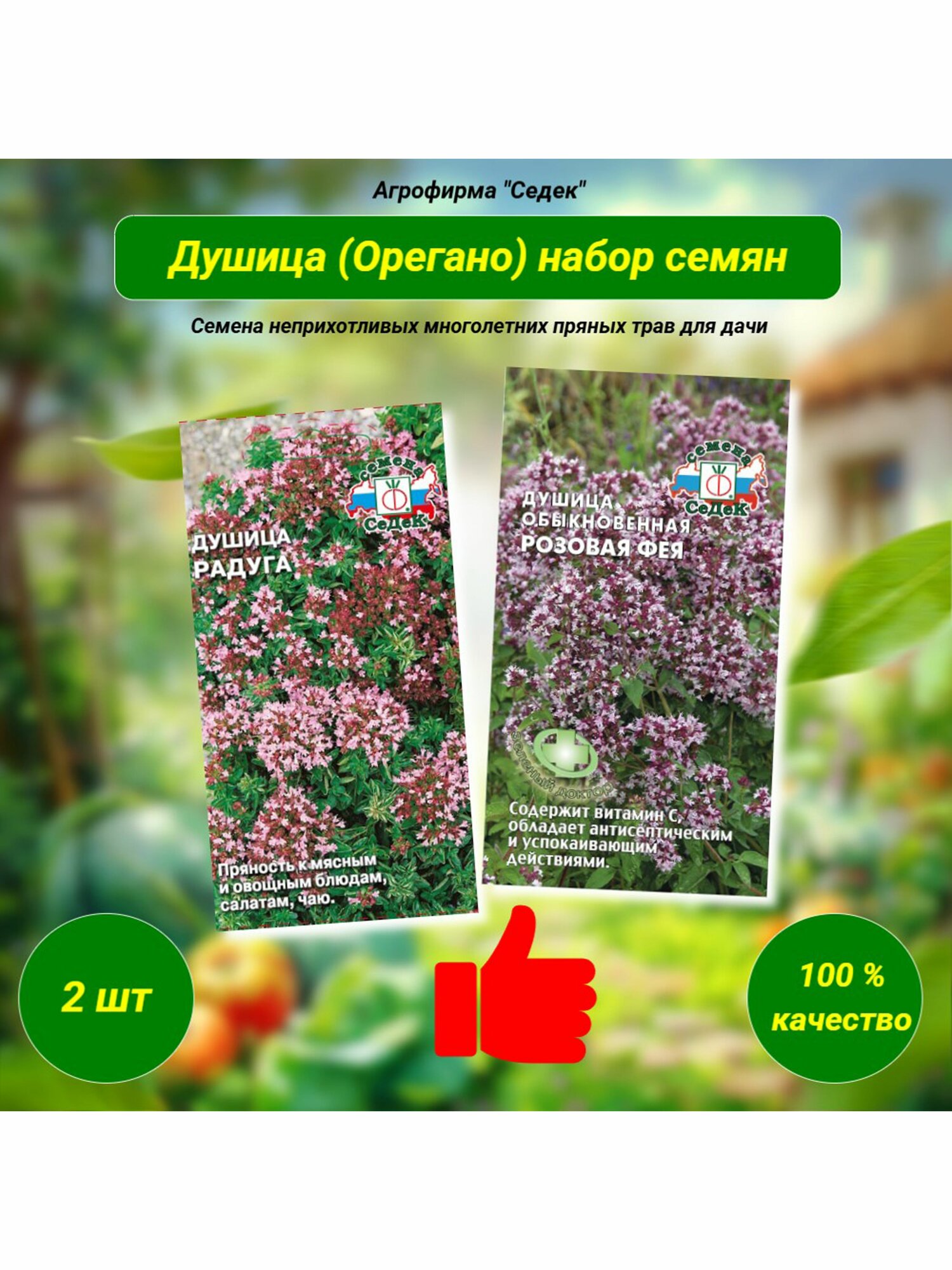 Душица (Орегано) Розовая Фея Радуга. Набор семян пряных трав. Седек. Набор из 2 шт