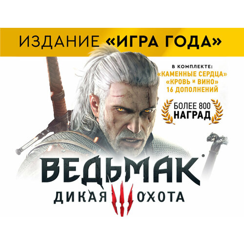 The Witcher 3 Wild Hunt - Game of the Year Edition Цифровая версия 2999₽