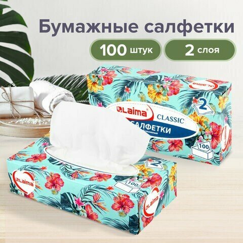 Салфетки косметические 100 шт. в картонном боксе 2-слойные, LAIMA "Everyday", 20х20 см, 113588