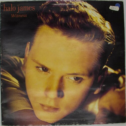 Виниловая пластинка Halo James - Witness (LP)