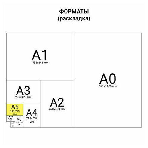 Скетчбук Скетчбук, белая бумага 120 г/м2, 170х195 мм, 60 л, гребень, фольга, выборочный твин лак, Кактус, 97743