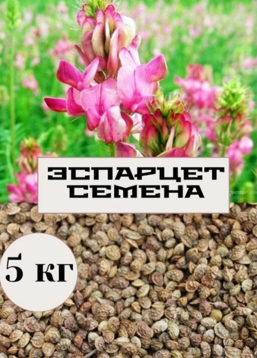 Семена эспарцет 5 кг "С Алтайских полей"