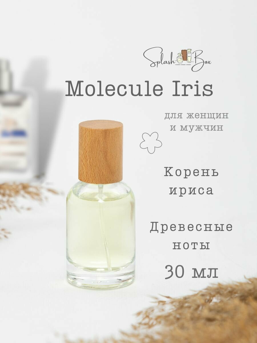 Molecule 01 Iris духи стойкие