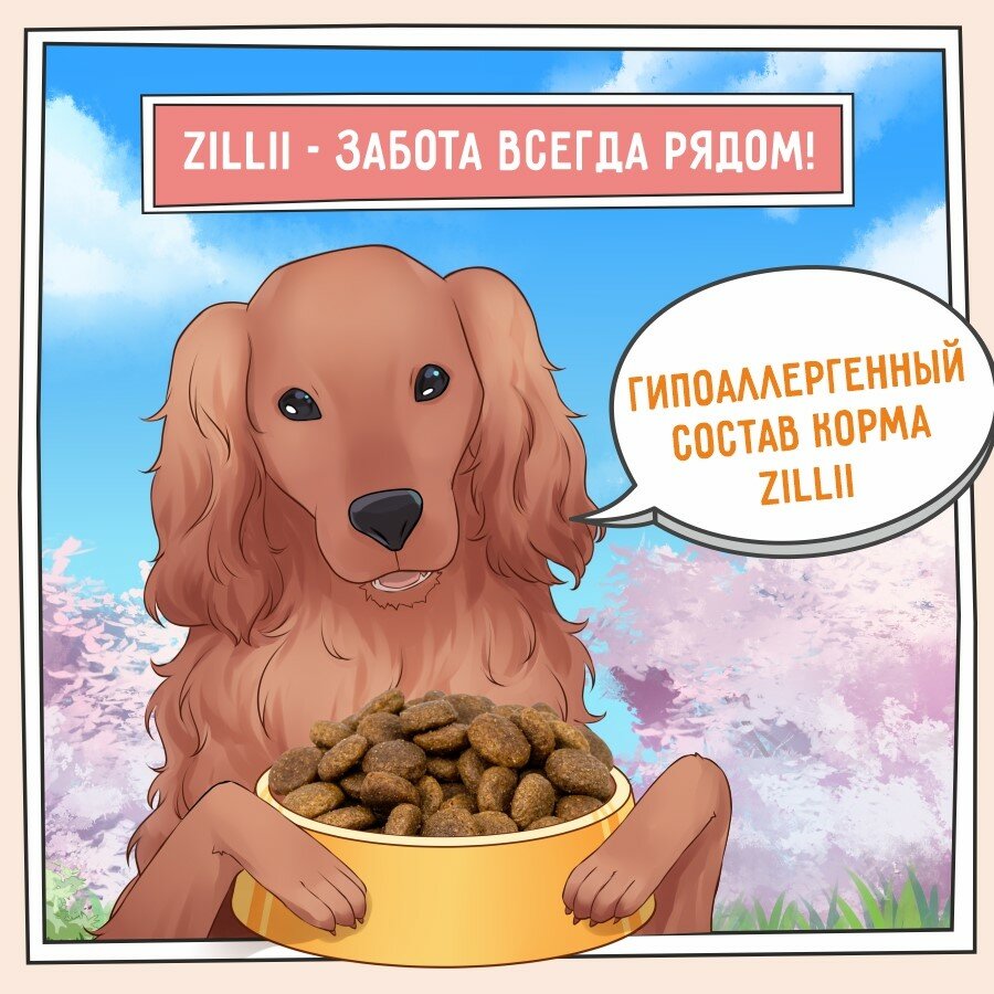 Adult Dog индейка с ягнёнком сух. 800г ZILLII - фото №7