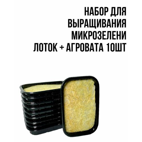 Набор для выращивания микрозлени (агровата+лоток) 10шт бежевый, черный