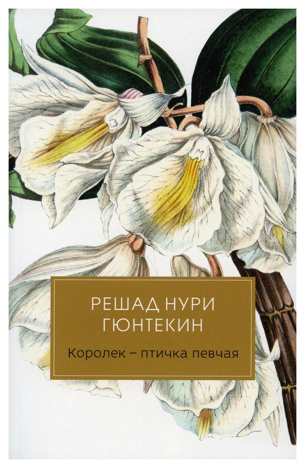 Королек - птичка певчая. Гюнтекин Р. Н. Черная речка