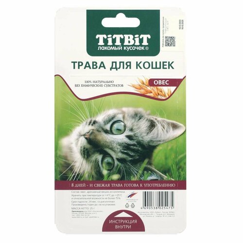 трава для кошек в лотке dreossa 500мл Трава для кошек TiTBiT овес 25г