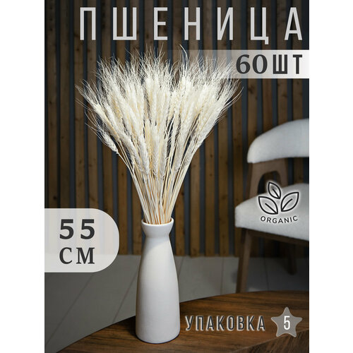 Натуральные беленые Колосья Пшеницы 60шт, Букет из сухоцветов ARANTA 210гр, 55см