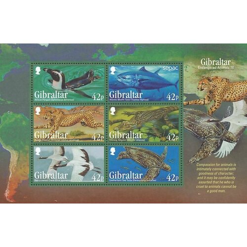 Почтовые марки Гибралтар 2013г. Вымирающие животные Фауна, Обезьяны, Кошки, Носороги MNH почтовые марки куба 1997г зоопарк животные фауна медведи обезьяны верблюды носороги буйволы mnh