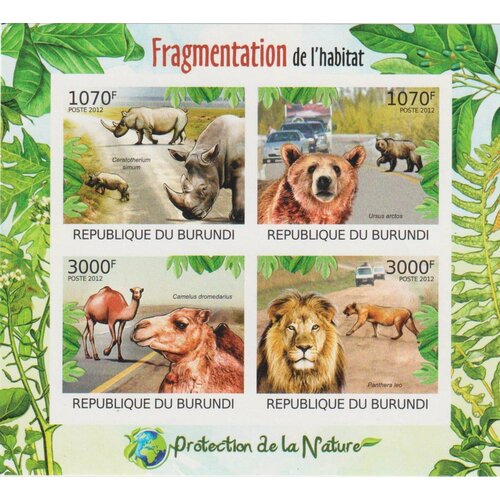 Почтовые марки Бурунди 2012г. Защита природы - фрагментация среды обитания Львы, Медведи, Носороги, Верблюды, Фауна MNH