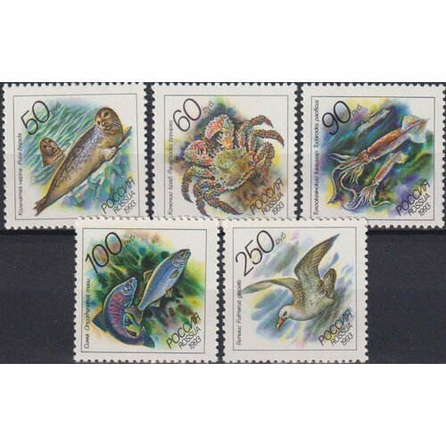 Почтовые марки Россия 1993г. Животные морей Тихоокеанского региона Фауна MNH