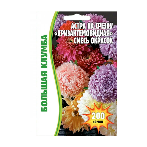 Астра - Хризантемовая смесь, 150 штук (2 уп)Редкие семена астра королевский размер смесь 150 шт редкие семена 2шт в упаковке