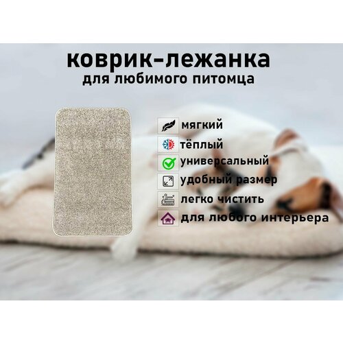 Мягкий, высоковорсовый коврик для животных Новостройка 80*50