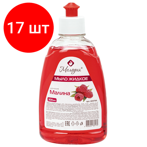 Комплект 17 шт, Мыло жидкое 300 мл, мелодия Малина, пуш-пул, 604784