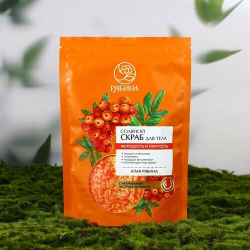 Скраб для тела, соляной с экстрактом рябины, 250 г, рябина
