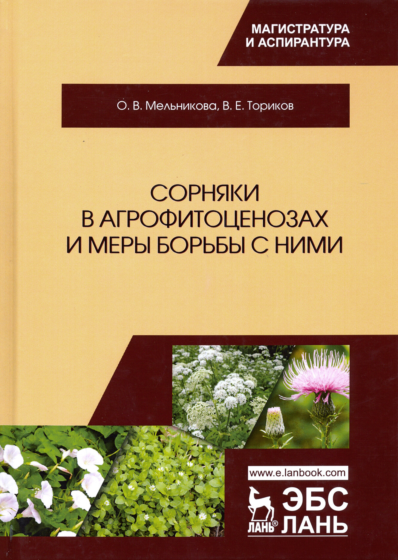 Сорняки в агрофитоценозах и меры борьбы с ними - фото №3