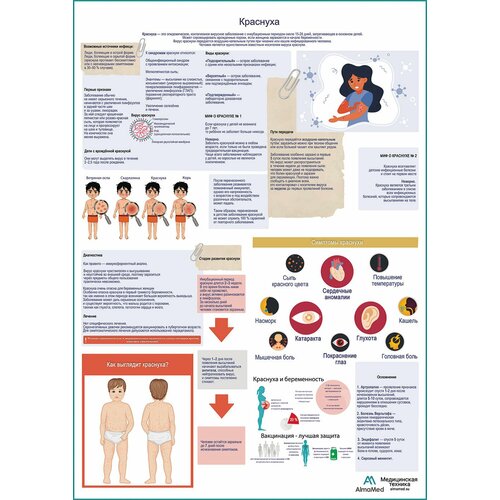 Краснуха, медицинский плакат, матовый холст от 200 г/кв. м, размер A1+