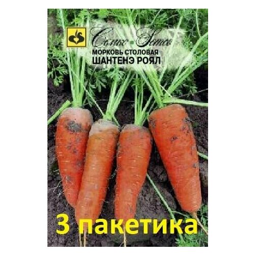 яблоня роял бьюти на штамбе 120 см Семена Морковь Шантенэ роял 3пакетика