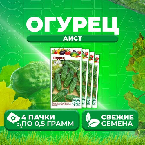 Огурец Аист, 0,5г, Гавриш, Овощная коллекция (4 уп)