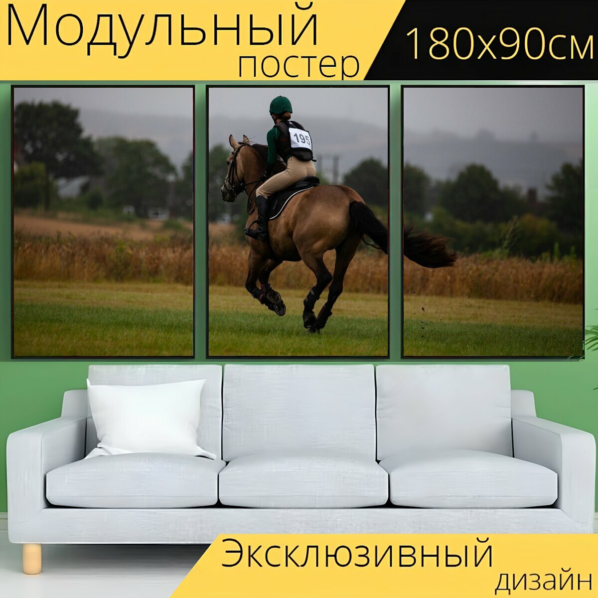 Модульный постер "Лошадь, скачущий, галопом" 180 x 90 см. для интерьера