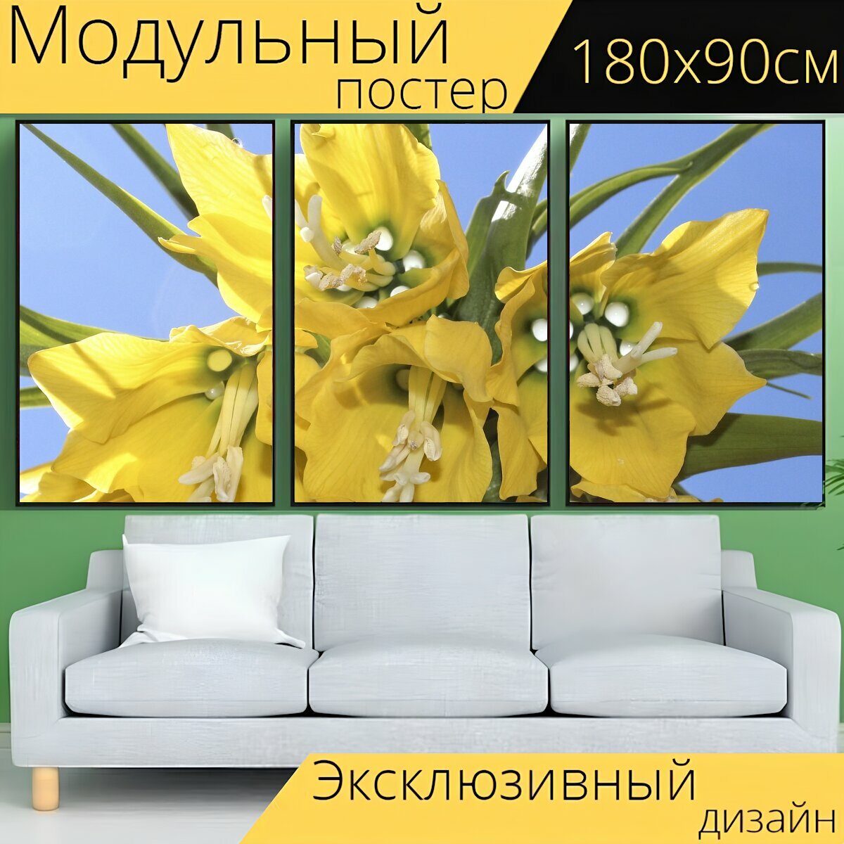 Модульный постер "Императорская корона, весна, цветы" 180 x 90 см. для интерьера