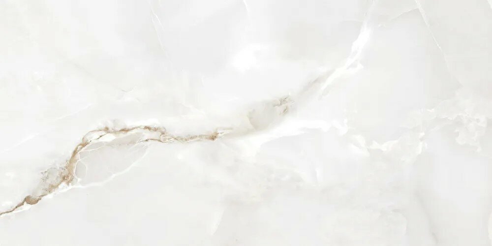 фото Керамический гранит ONYX GRIS G POLISH 60х120 (Kevis)