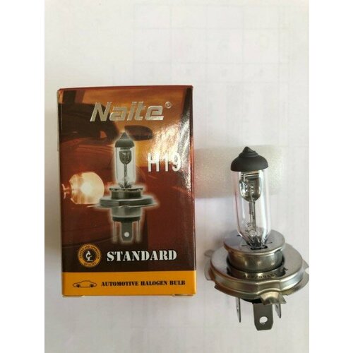 Лампа H19 12V 60/55W PU43t-3