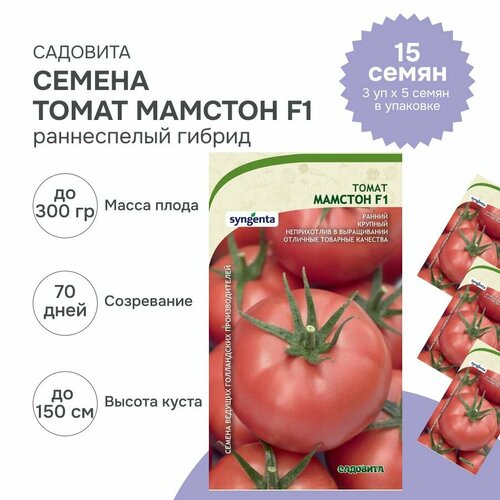 Семена ранних томатов Мамстон F1