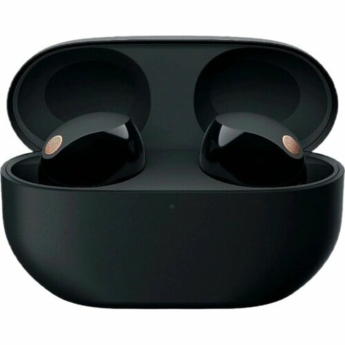 Беспроводные наушники Sony WF-1000XM5 черный 2949000₽