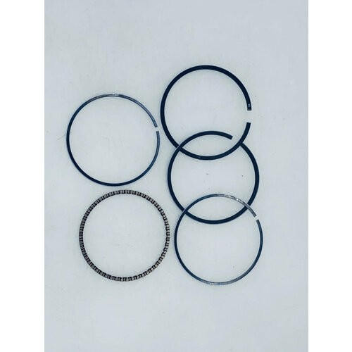 Поршневые кольца-комплект поз. С5 Patriot 2000i 005010393 №12