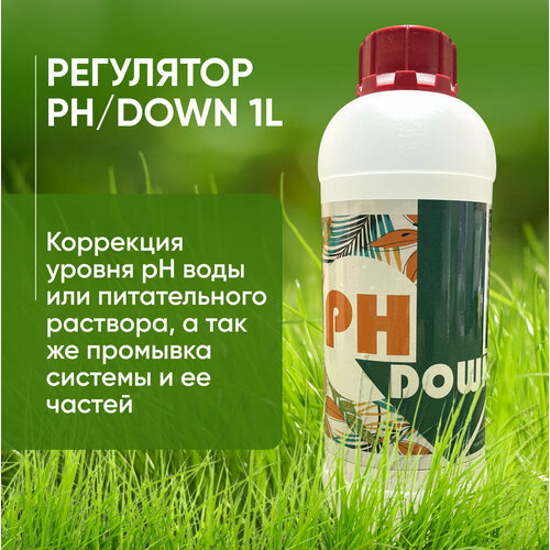 Регулятор кислотности раствора PH/DOWN 1L
