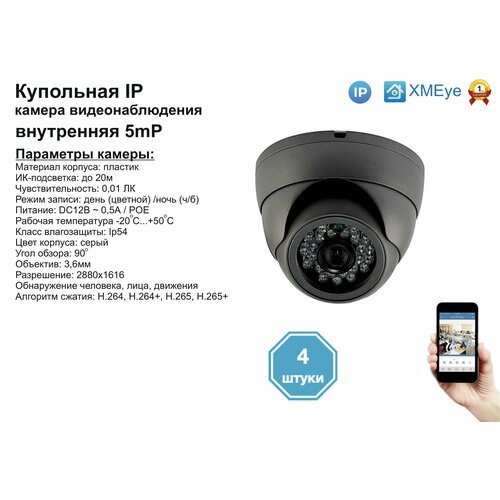 (4шт) DVS300IP5MP(POE). Внутренняя IP камера 5мП с ИК до 20м.