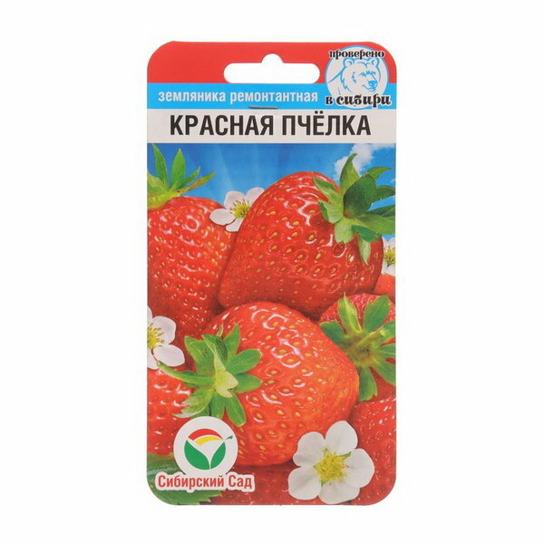 Земляника "Красная пчелка", 10 шт