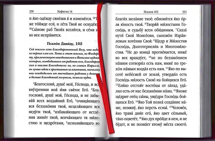 Псалтирь с поминовением живых и усопших. С толкованием Евфимия Зигабена. С указанием порядка чтения псалмов на всякую потребу. С келейным правилом преп. Серафима Саровского и чином чтения 12 псалмов - фото №8