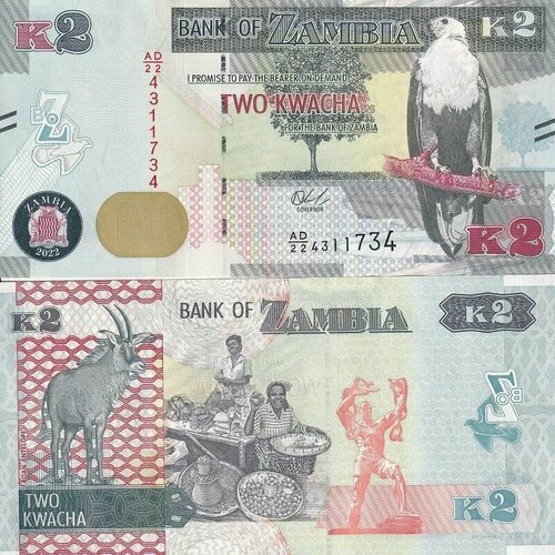 Банкнота Замбия 2 квача 2022 год UNC банкнота замбия 1986 год unc