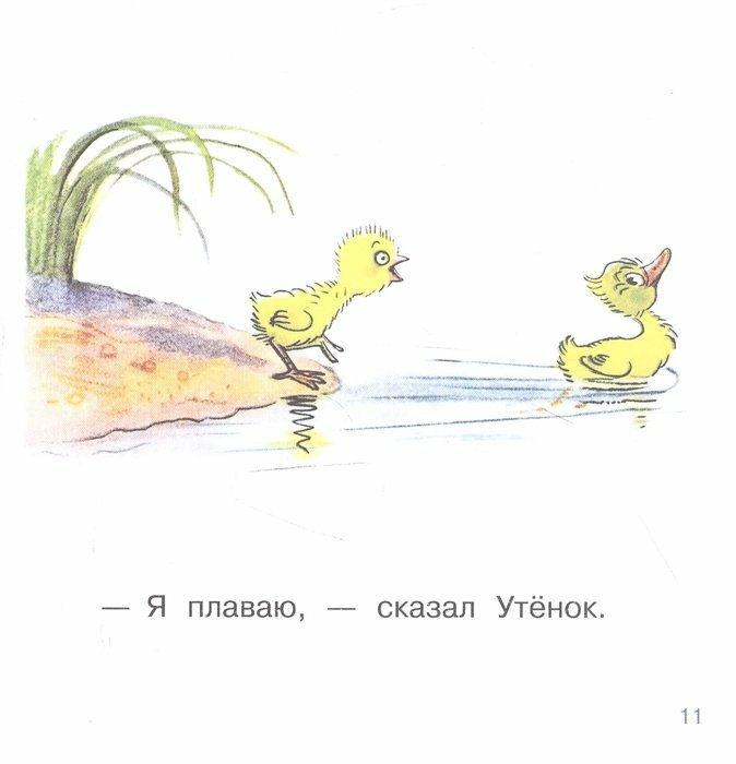 Цыплёнок и Утёнок (Сутеев Владимир Григорьевич) - фото №9
