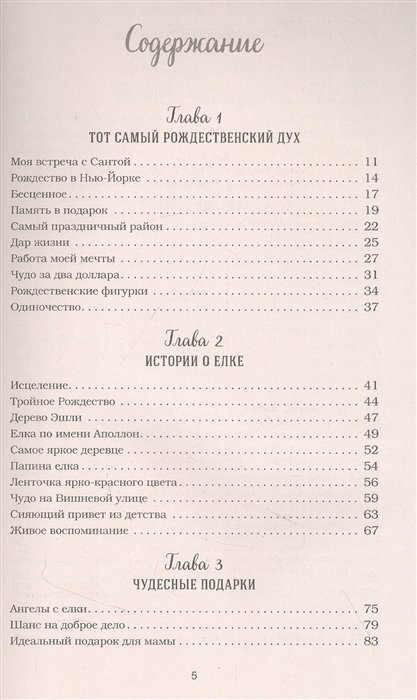 Куриный бульон для души. Дух Рождества. 101 история о самом чудесном времени в году - фото №13