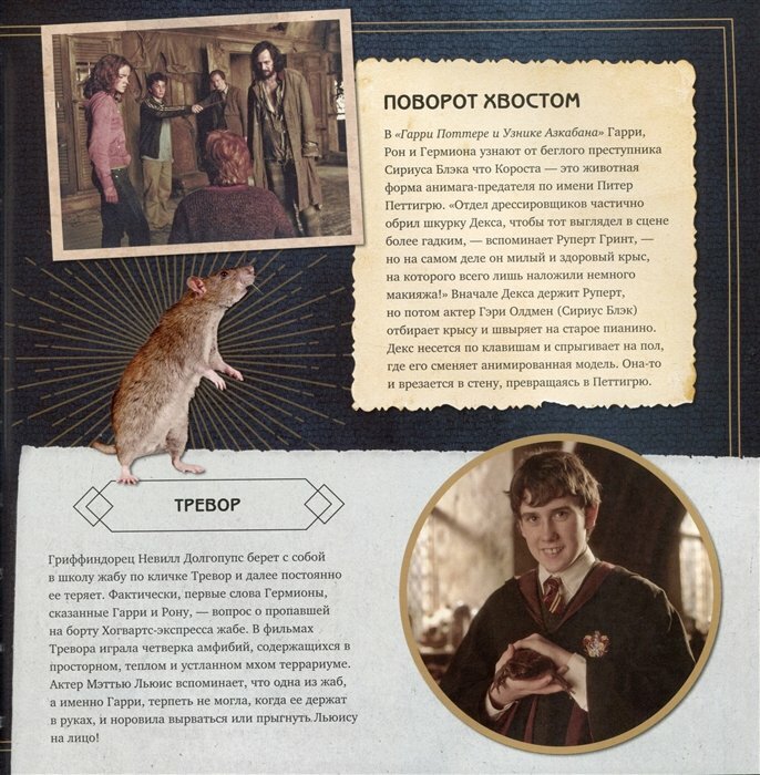Гарри Поттер. Фантастические существа. Путеводитель по миру животных магической вселенной - фото №11