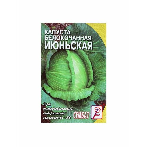 Семена Капуста Сембат, белокачанная, Июньская, 1 г семена капуста сембат белокачанная июньская 1 г 6 упак