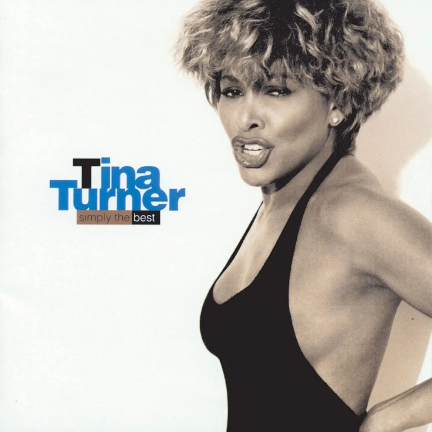 TINA TURNER - SIMPLY THE BEST (2LP) виниловая пластинка