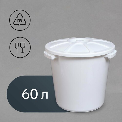 Бак 60 л пищевой с крышкой микс 9247515 2987₽